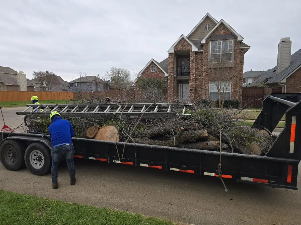 Expert Lot Clearing with proper safety equipment in Cedar Lane